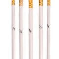 Tacklon  Fan Brushes white pen rod ,brown nylon wool set of 5