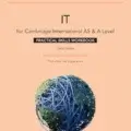 Cambridge International AS & A Level IT Practical Skills Workbook with Digital Access (2 Years)